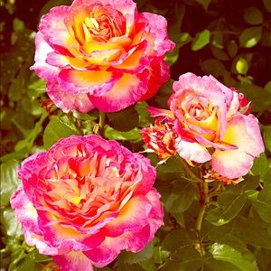 😱💜 EVERYTHING MUST GO 💜😱